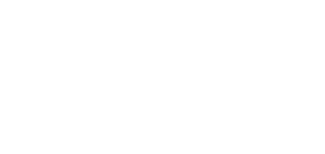 The London Interdisciplinary School