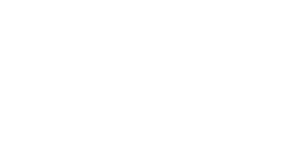 The London Interdisciplinary School