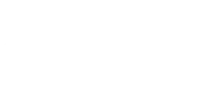 The King’s Foundation