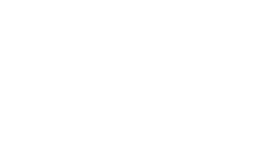 Viral Tribe