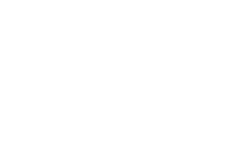 Viral Tribe