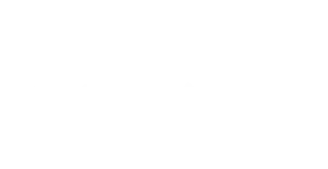 Project Everyone